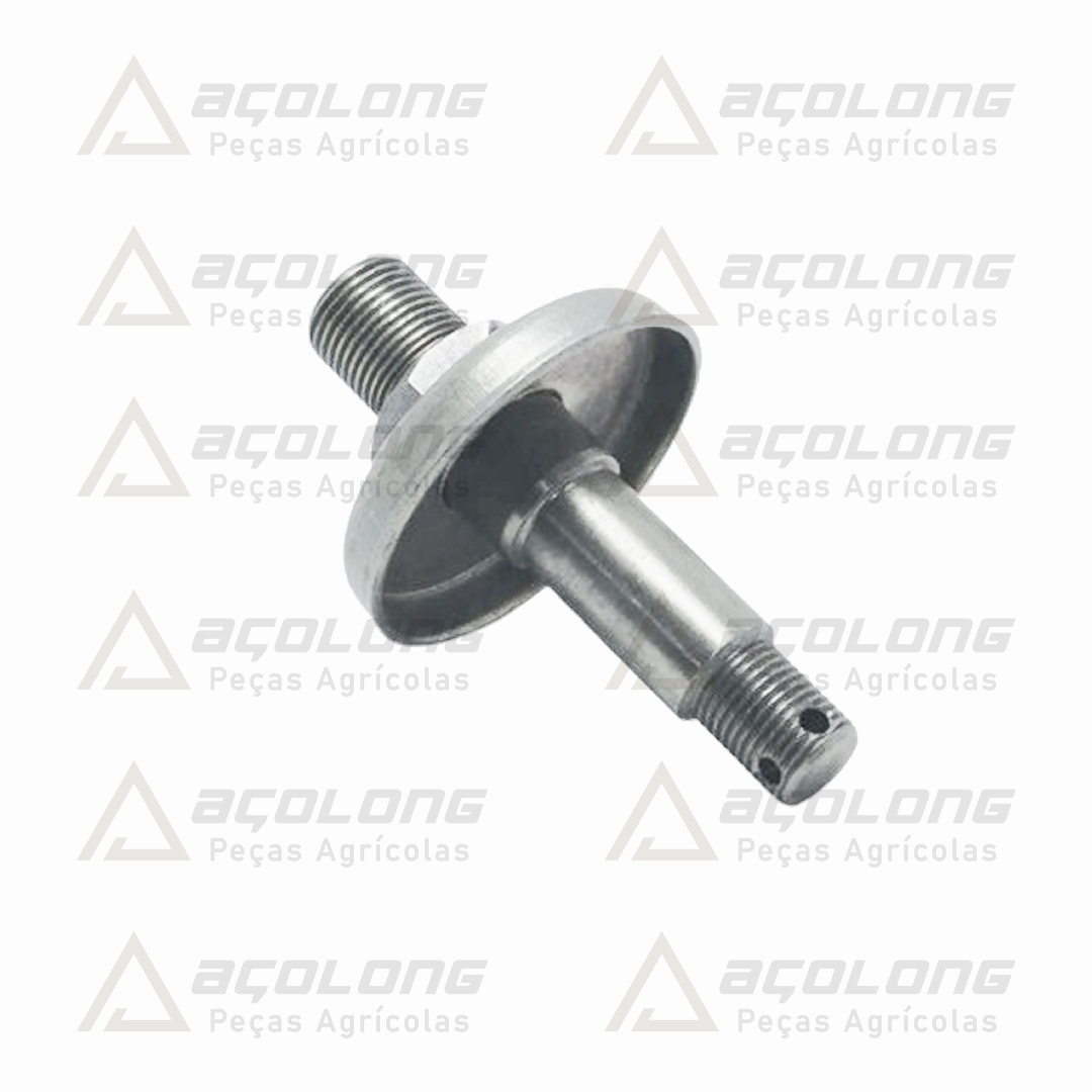EIXO_17082800_Acolong.jpg