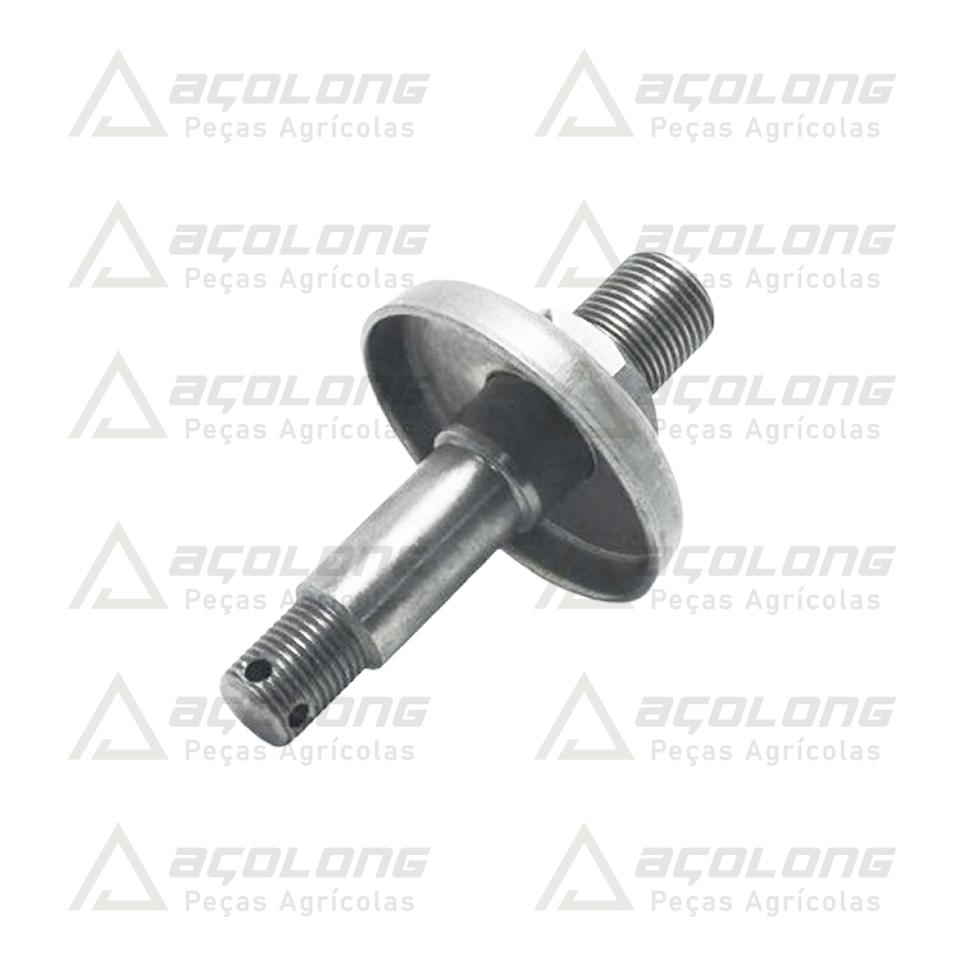 EIXO_17082900_Acolong.jpg